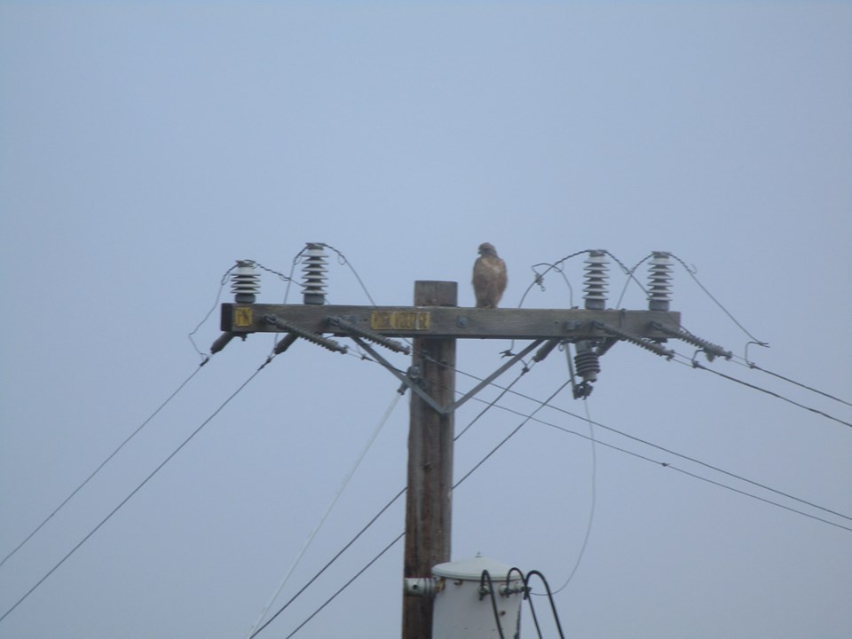 69785970_10219804721254792_1336417522697633792_n