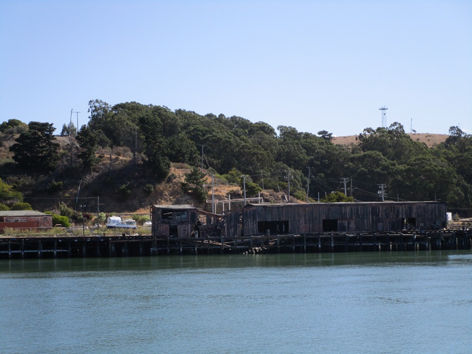 70350303_10219902167810895_5600815419033124864_n