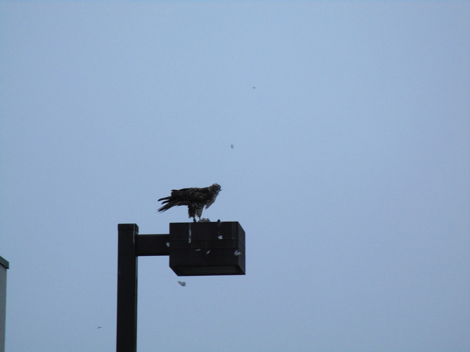 70370709_10219804745655402_1916472050231279616_n