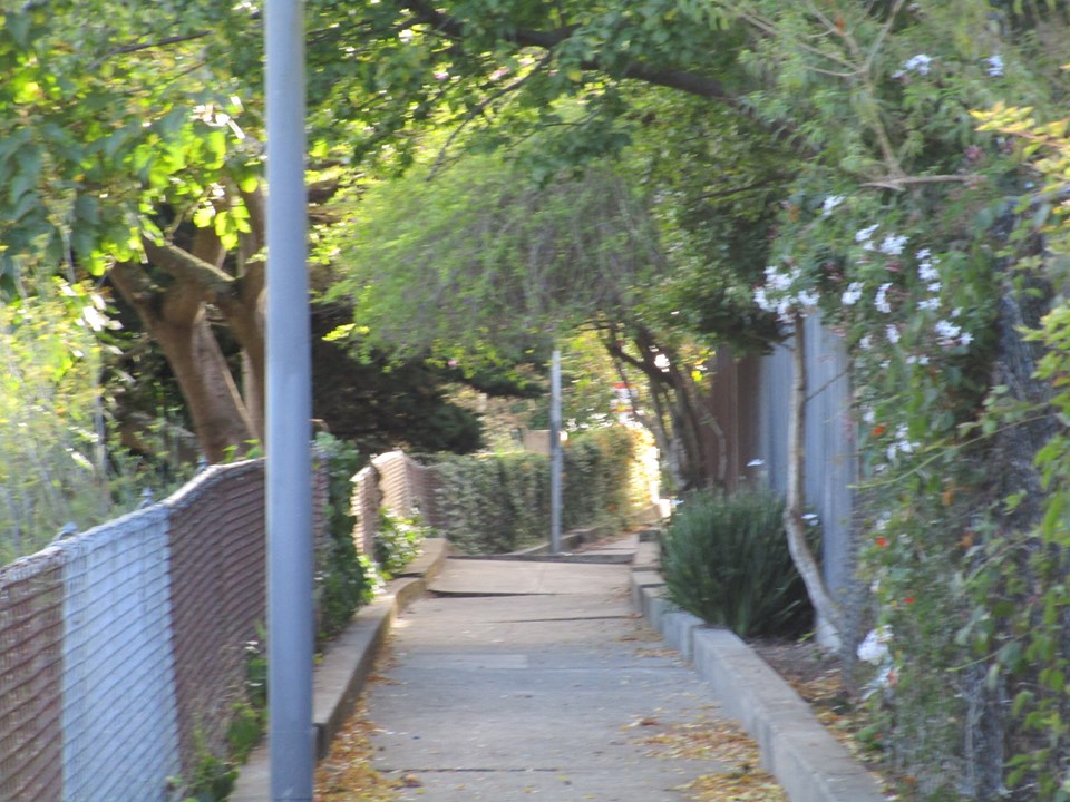 70411848_10219804750295518_698613161254715392_n