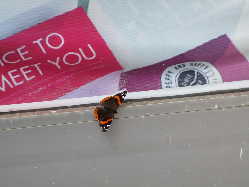 70463260_10219902128409910_3871553489926619136_n