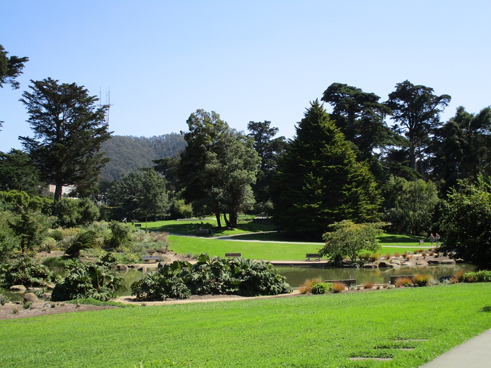 70514869_10219902141010225_3730649047602561024_n