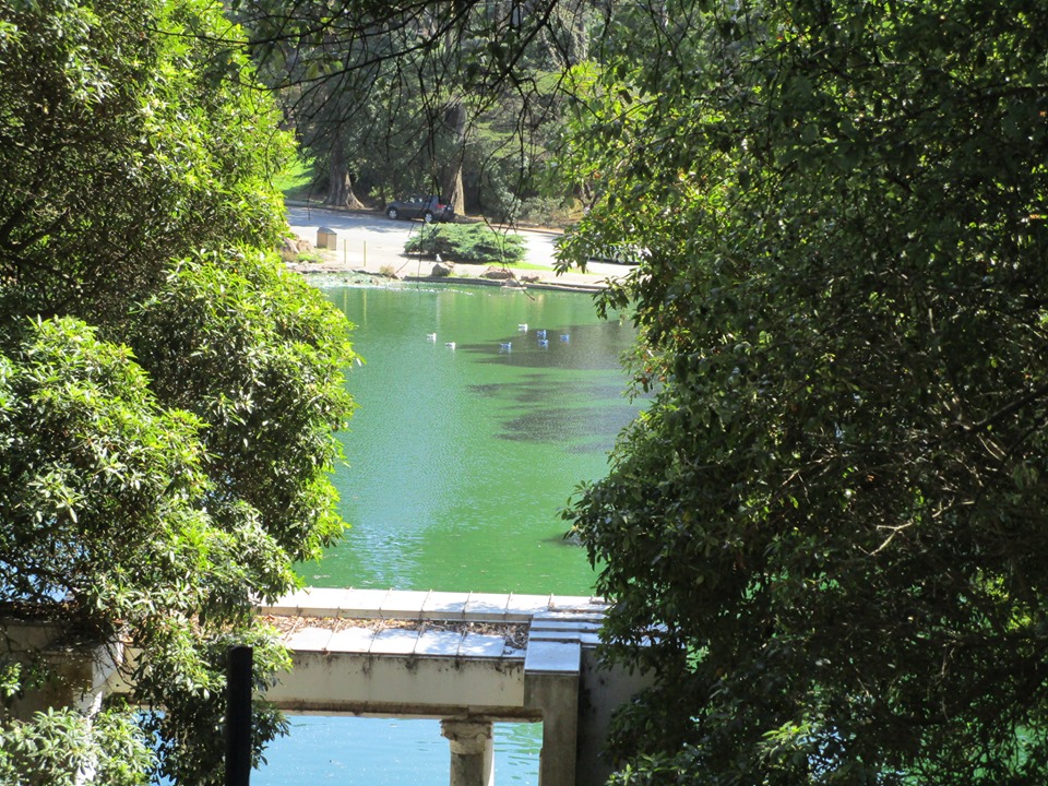 70631677_10219902137610140_7248014765224624128_n