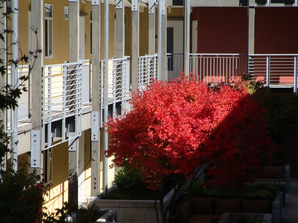 70937966_10219902154930573_1960690658393980928_n