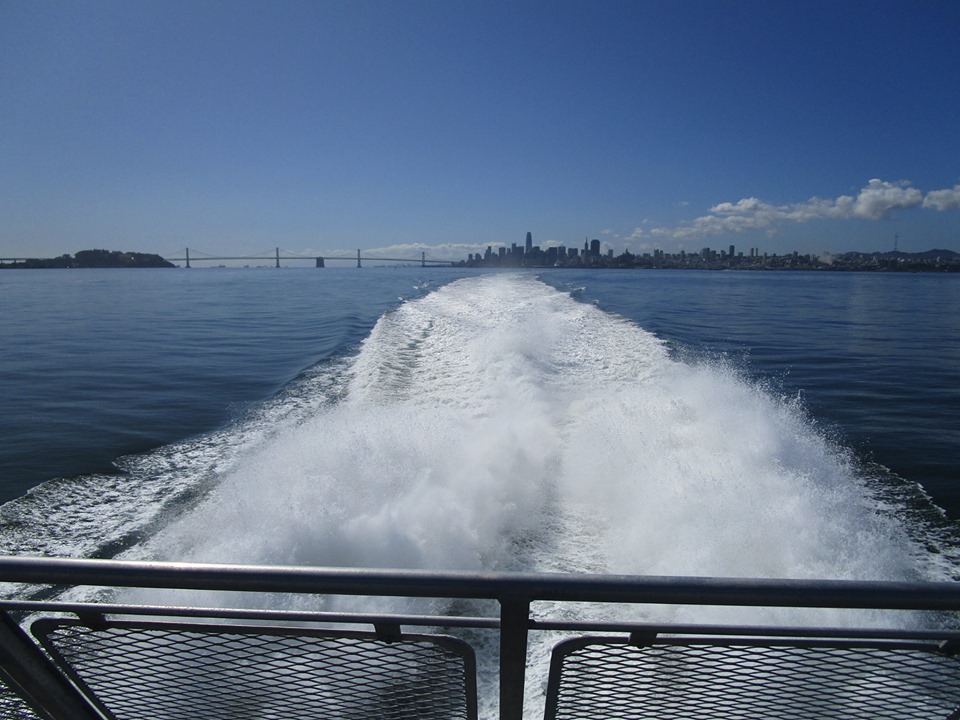 71088935_10219902165450836_5418872151878926336_n