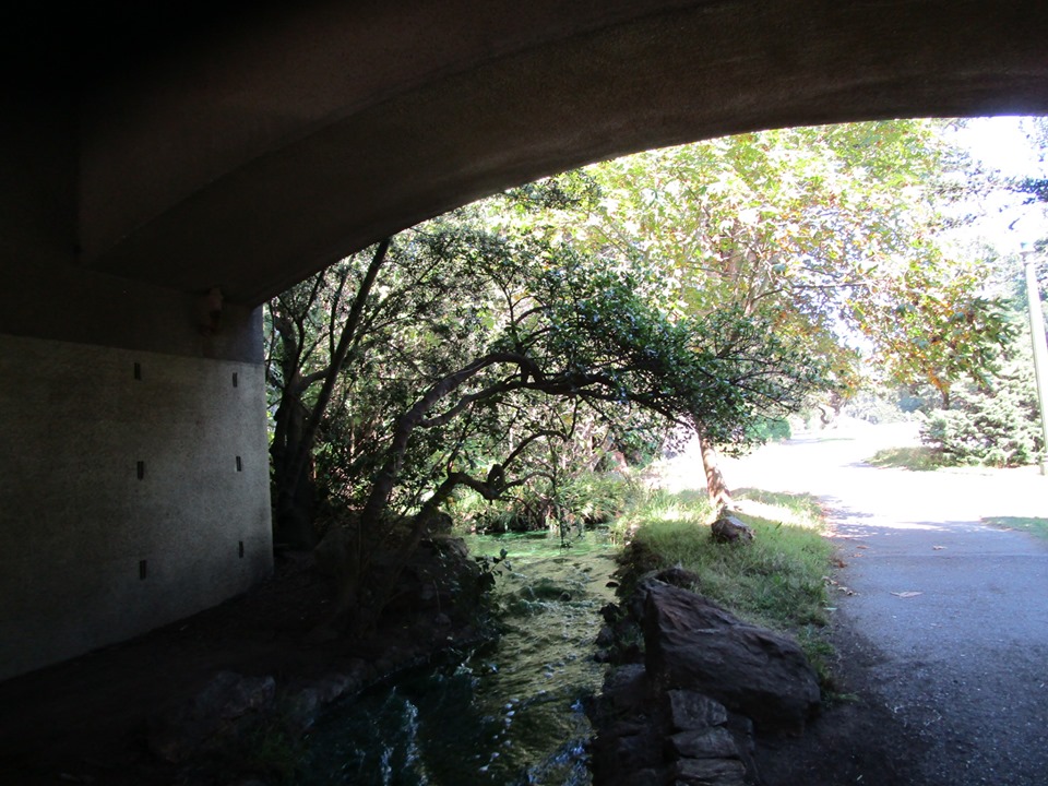 71098492_10219902138130153_677452978373787648_n