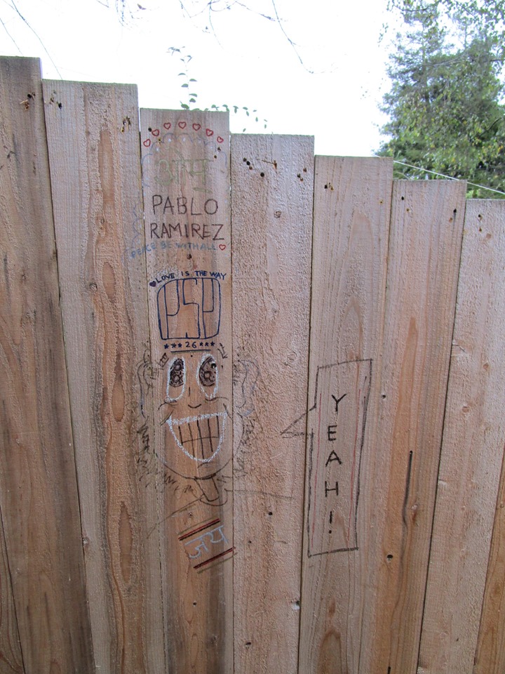 71133420_10219902152130503_1610665022931861504_n