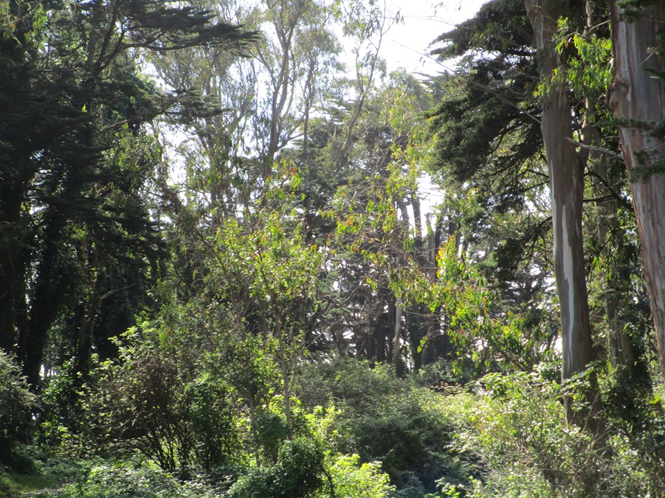 71395507_10219902131249981_5570120889791414272_n