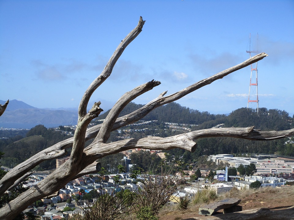 71696845_10219902133210030_1537575150684209152_n