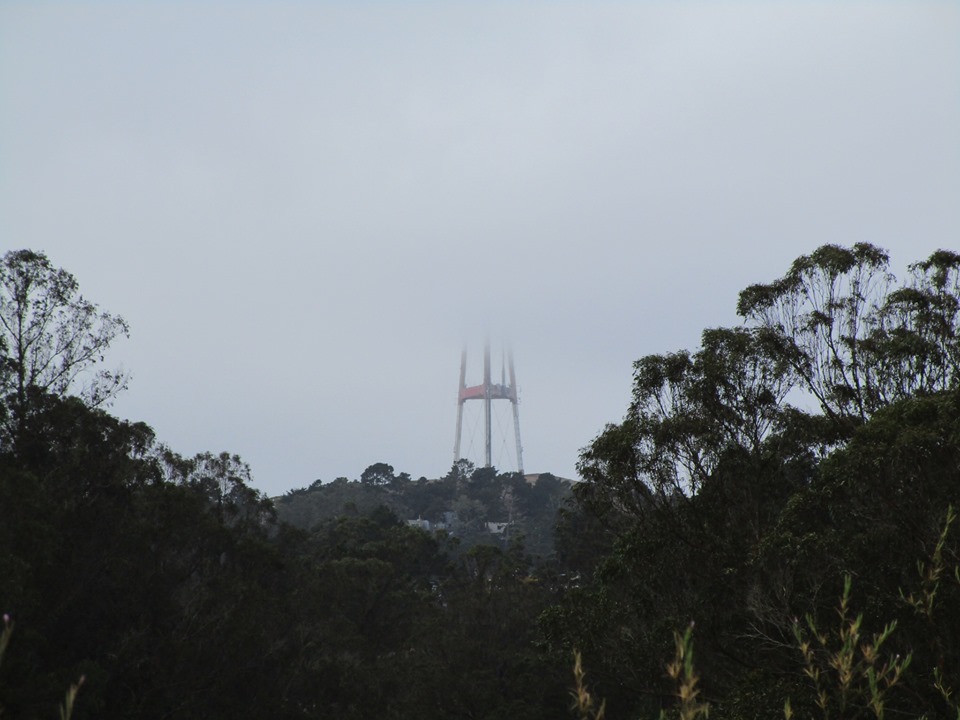 71496205_10220064348185303_5311284075812618240_n