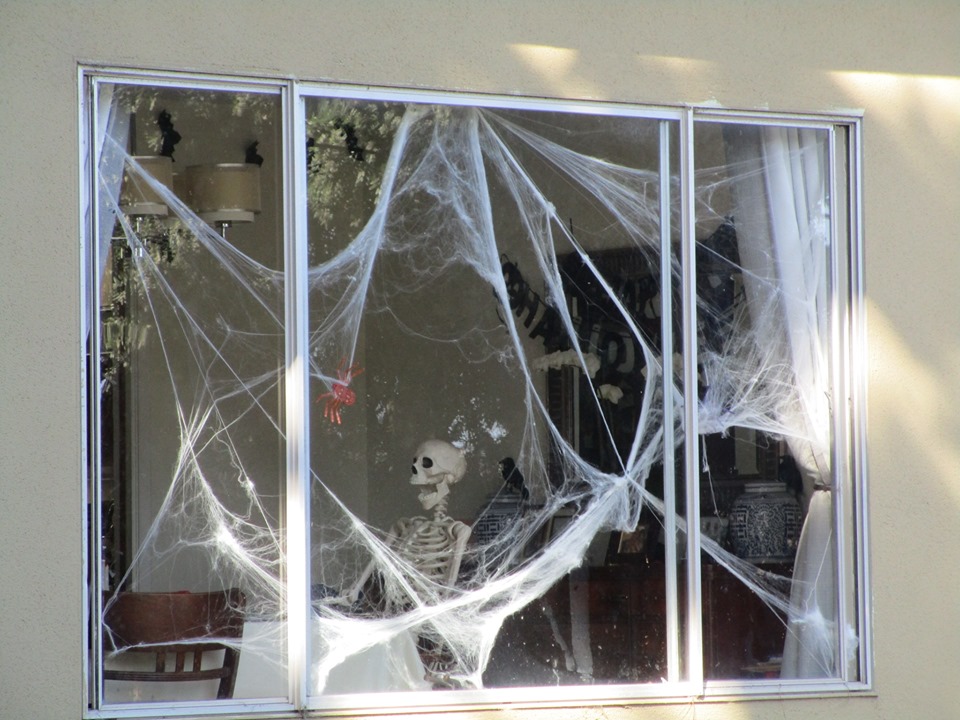 71690627_10220064337265030_2388575117400604672_n