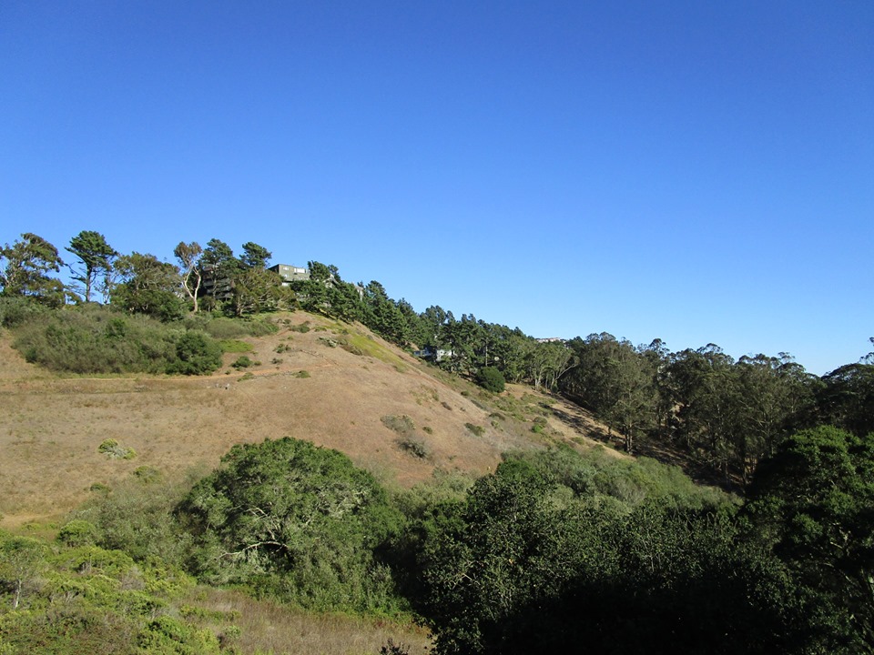 71736319_10220064382866170_79806135946706944_n