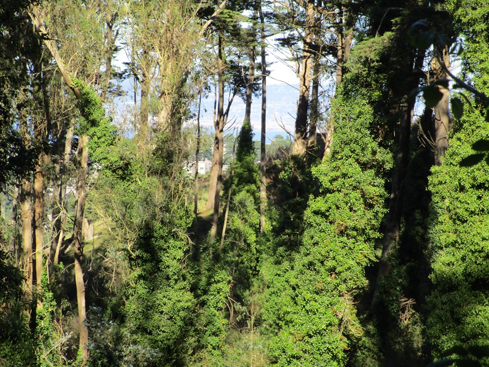 71745668_10220064365665740_508187196251963392_n