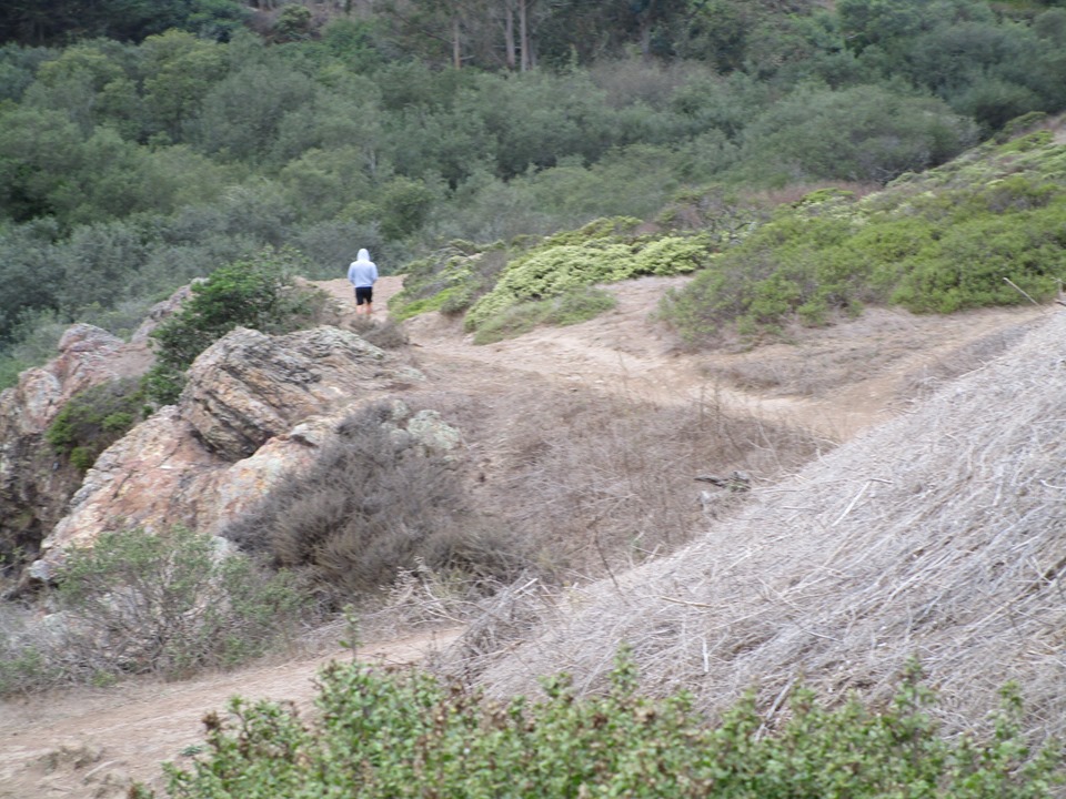 72096313_10220064347345282_8363858182237323264_n