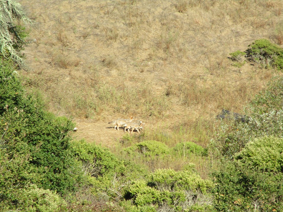 72215525_10220064372465910_6826801897962209280_n