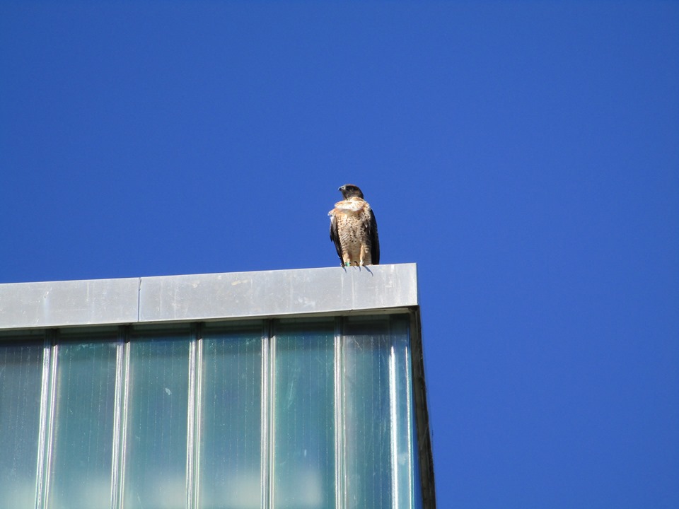 72434772_10220064313704441_1004953125276090368_n