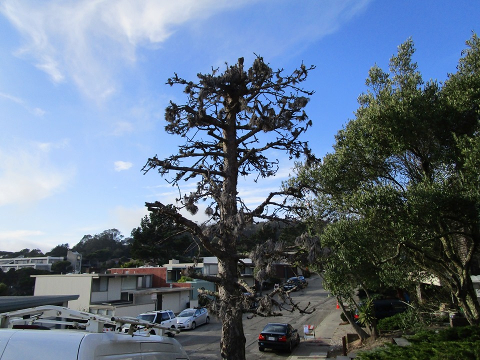 73020290_10220227562625562_8777482014086397952_n