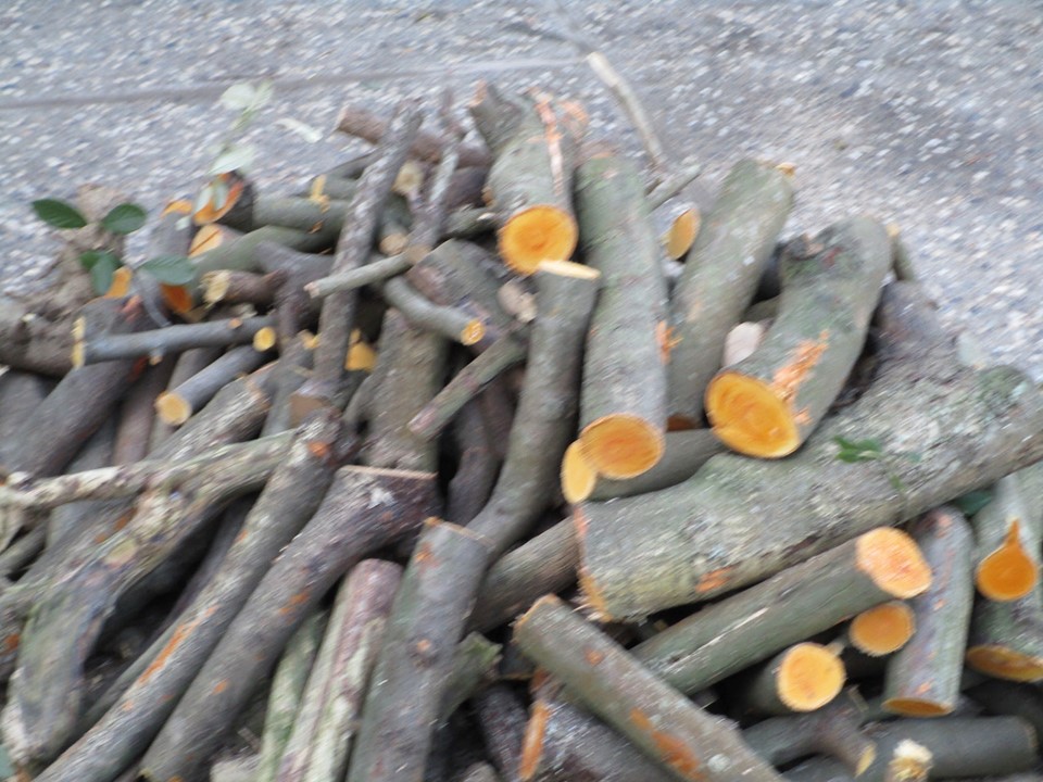 73066642_10220227562265553_3573259112047181824_n