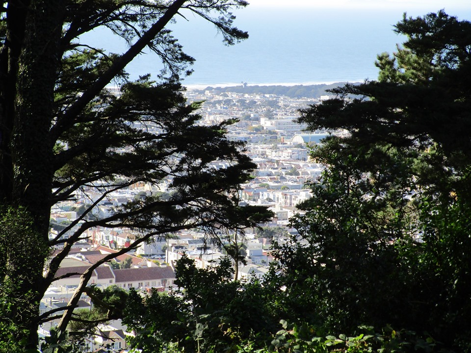 73244220_10220227563825592_4017707095250960384_n