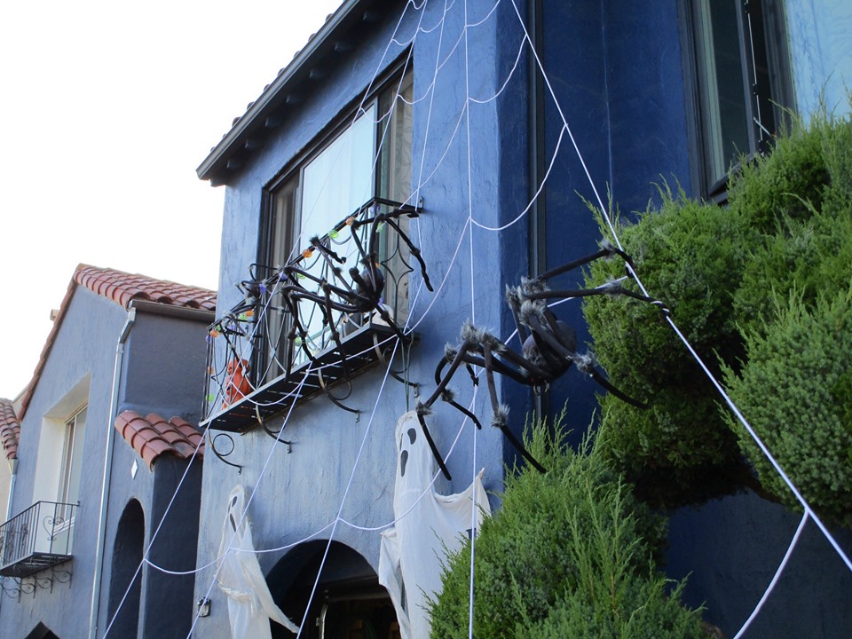 73288377_10220227560985521_7596509077341995008_n