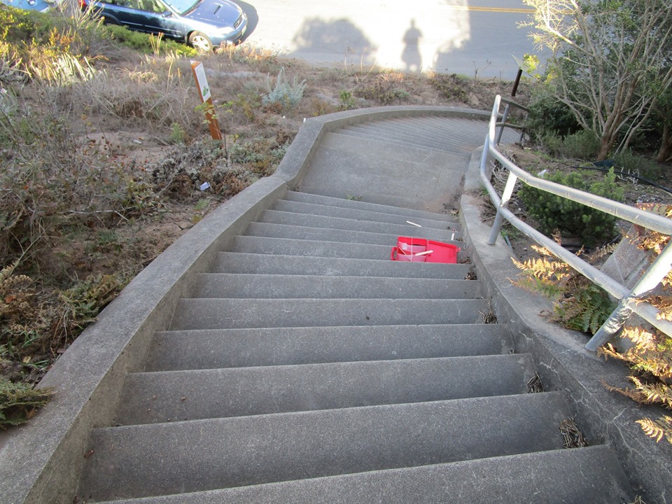 73289283_10220227567065673_7864994148804198400_n