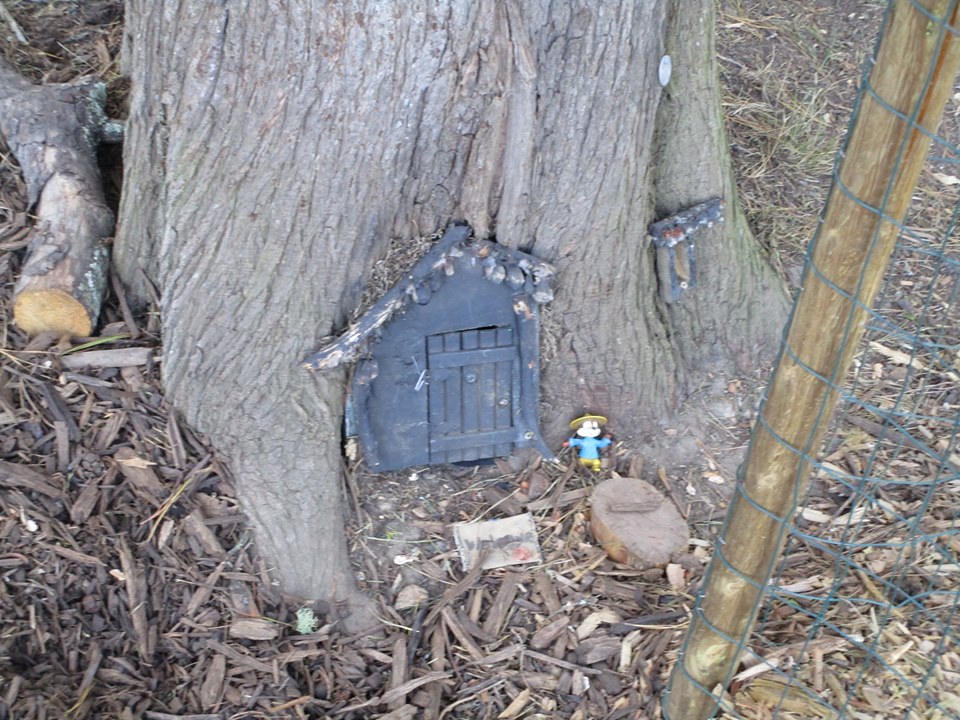 73497937_10220227563585586_5286489573210193920_n