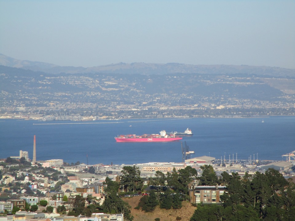 73537305_10220227562025547_2414531954117443584_n