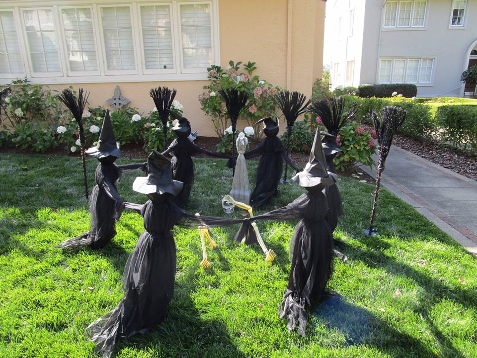 74269102_10220227563905594_8981749786805796864_n