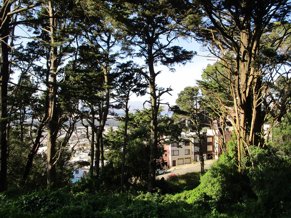 74664579_10220227567385681_3515108007933378560_n