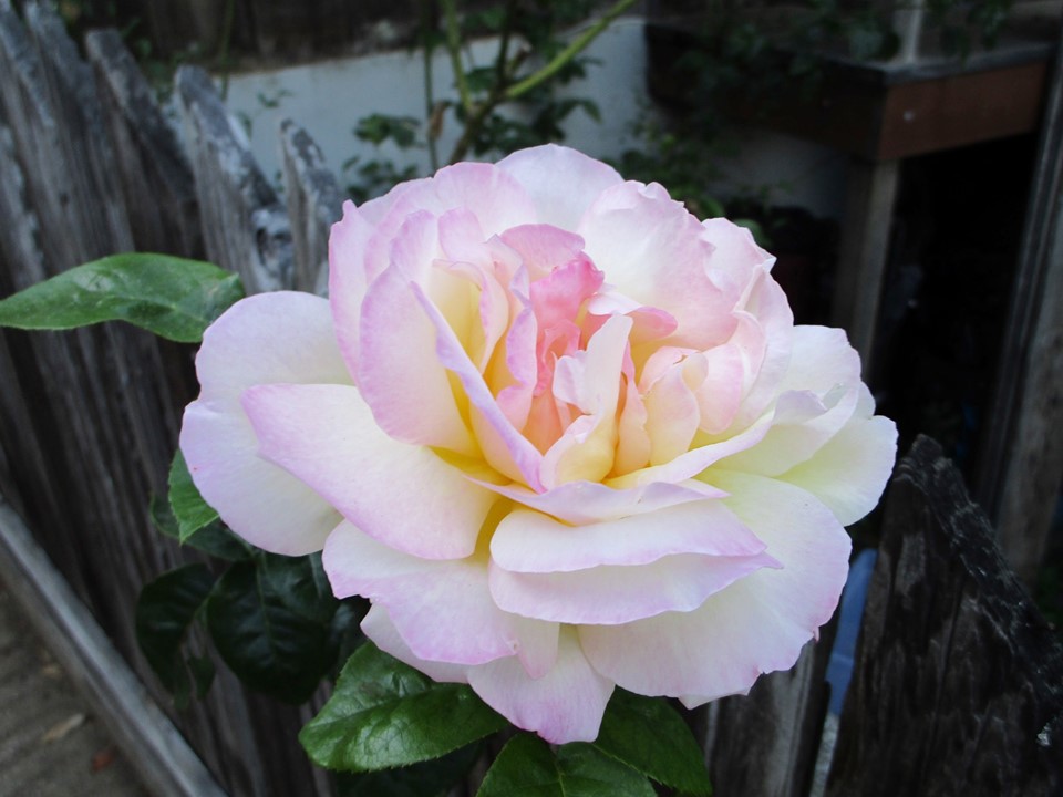 74786165_10220227562505559_601266593619509248_n