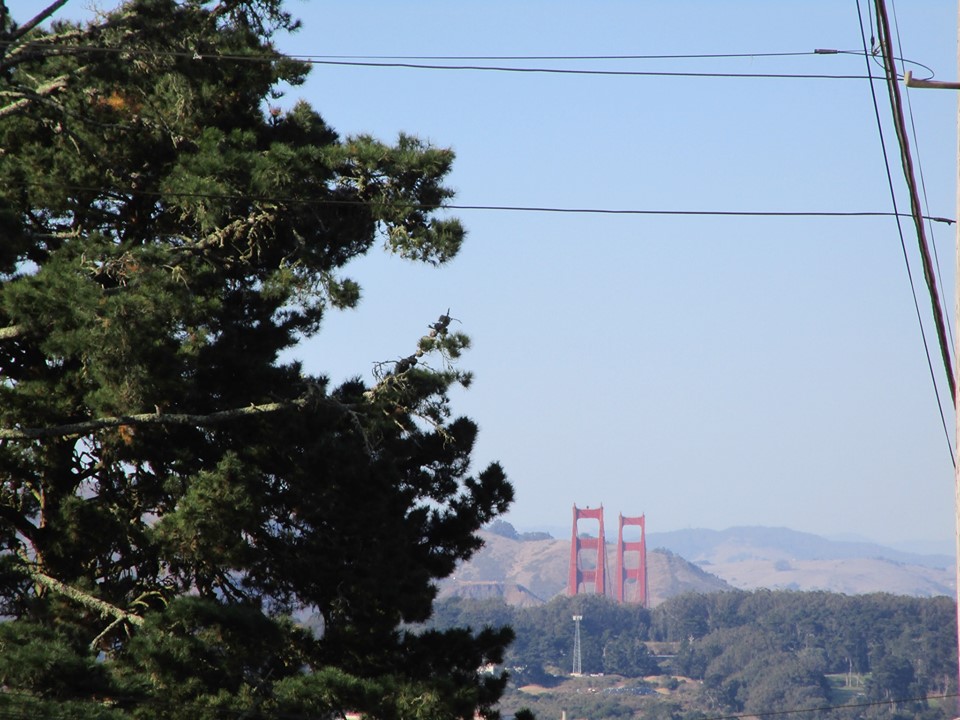 74834471_10220227566945670_5116366253623083008_n