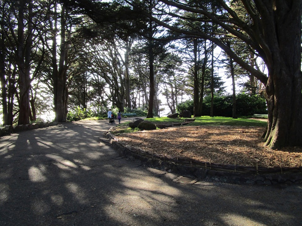 75341051_10220227563705589_7622538851193454592_n