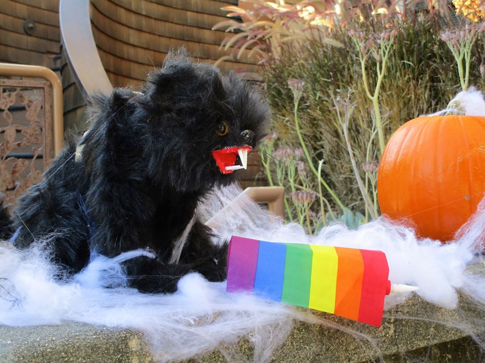 73286770_10220339303699019_4420779515303690240_o