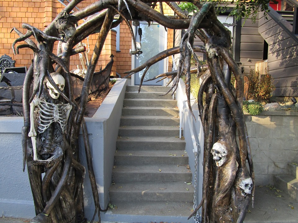 73370681_10220339298258883_7603902760462843904_n