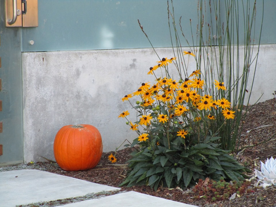 74205727_10220339299938925_4587500898669821952_n