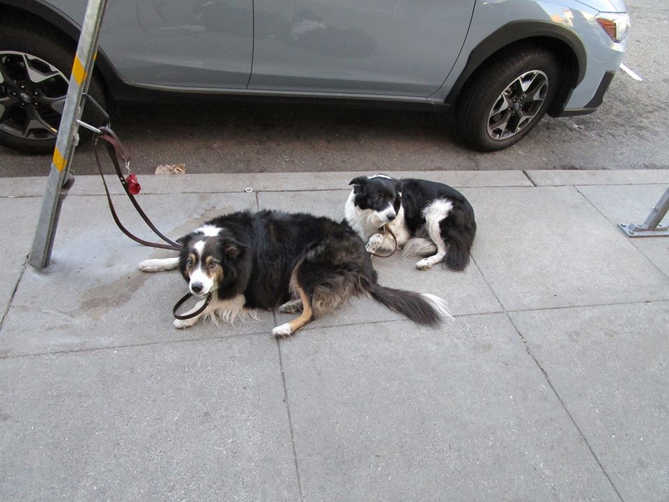 74392401_10220339303299009_7475079159199301632_o