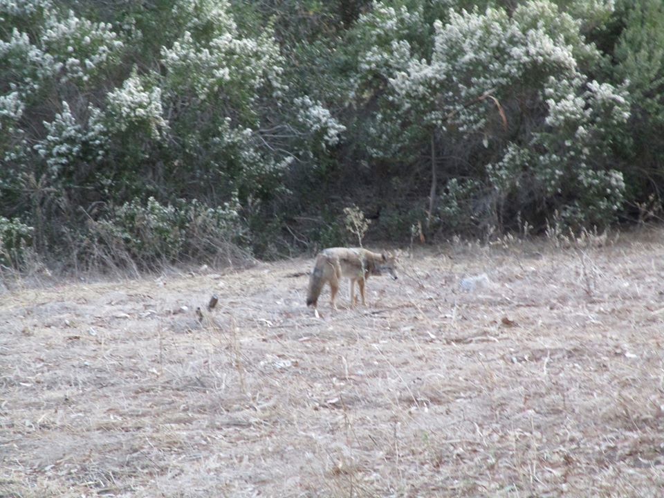 74403163_10220425799301355_2137995017271115776_o