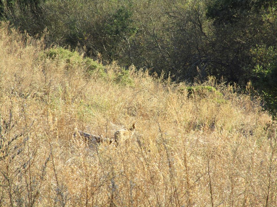 74528890_10220339304739045_5141536866511618048_o