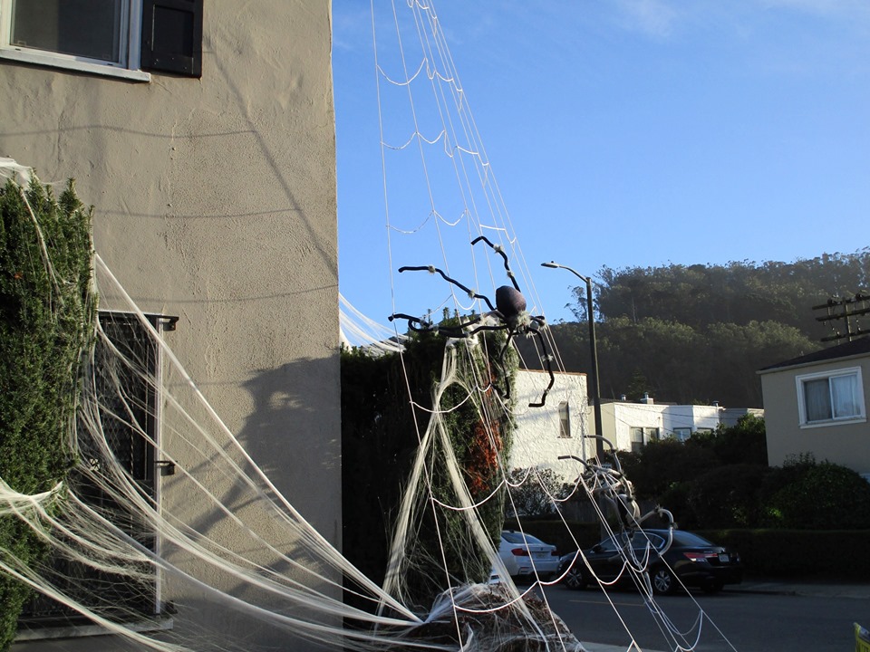 74680646_10220339298378886_8889105057308475392_n