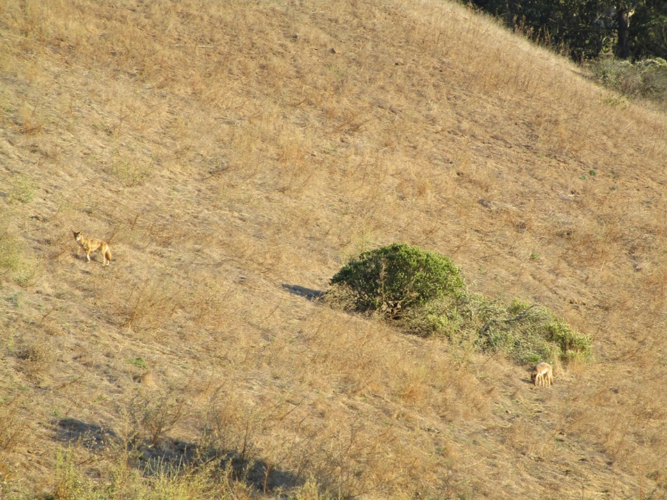 74696618_10220339299978926_8977451778672951296_n