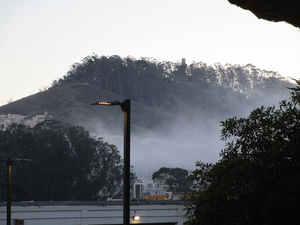 74922166_10220425810061624_2906570601617424384_o