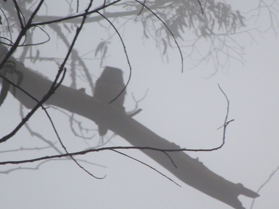 75199930_10220425806501535_1678942603367677952_o