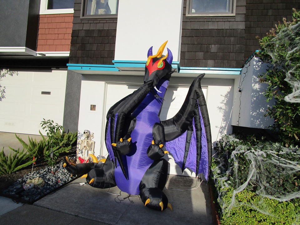 75233365_10220339298538890_6249684299130339328_n