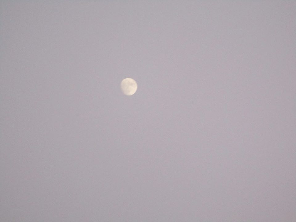 75289360_10220425807941571_6609977642324066304_o