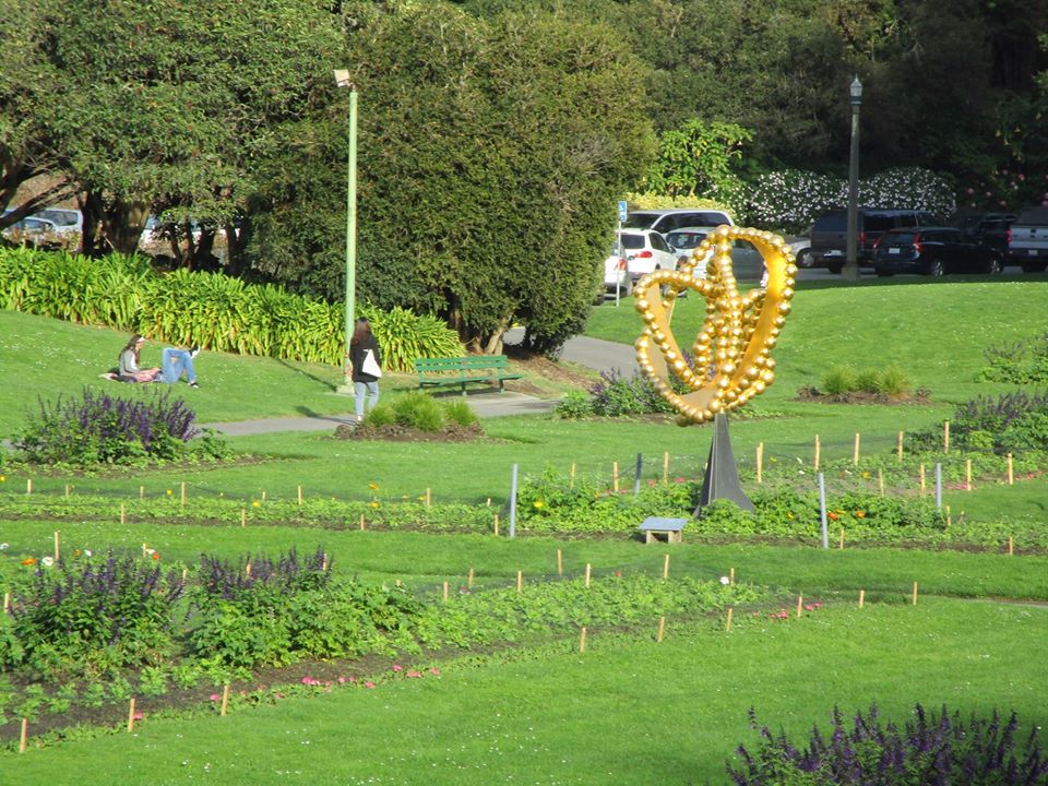 75336326_10220545542894870_1461031085348487168_o