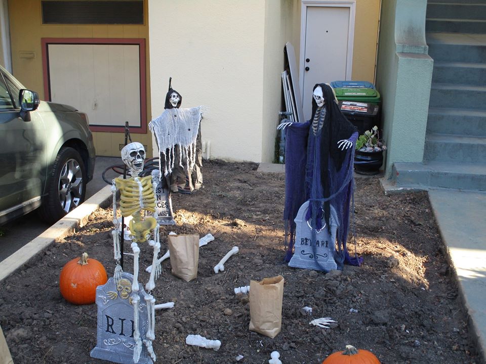 75339594_10220339303819022_4567405399526866944_o