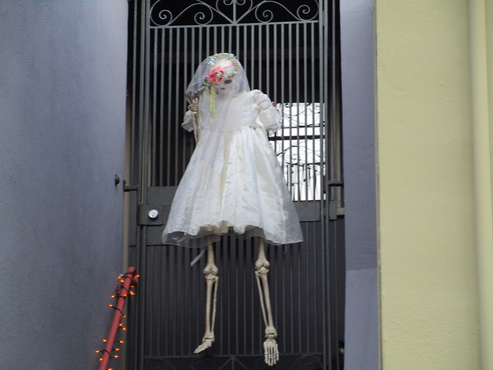 75398178_10220339299578916_3680686448962437120_n