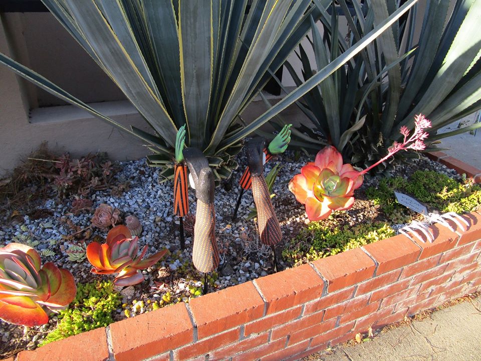 75412083_10220339302418987_2099440410114916352_o