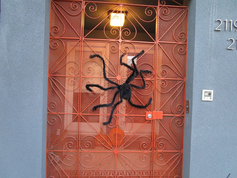 75496079_10220425802141426_2222123251822231552_o