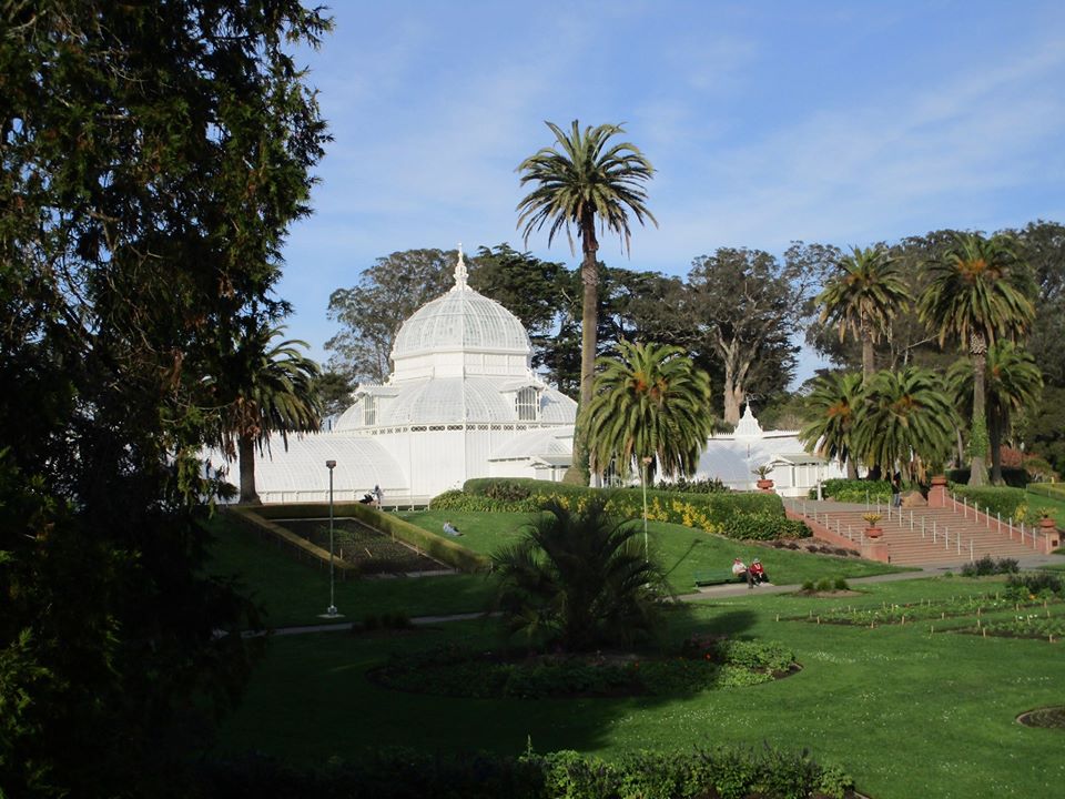 75569732_10220545543174877_6258608515321954304_o